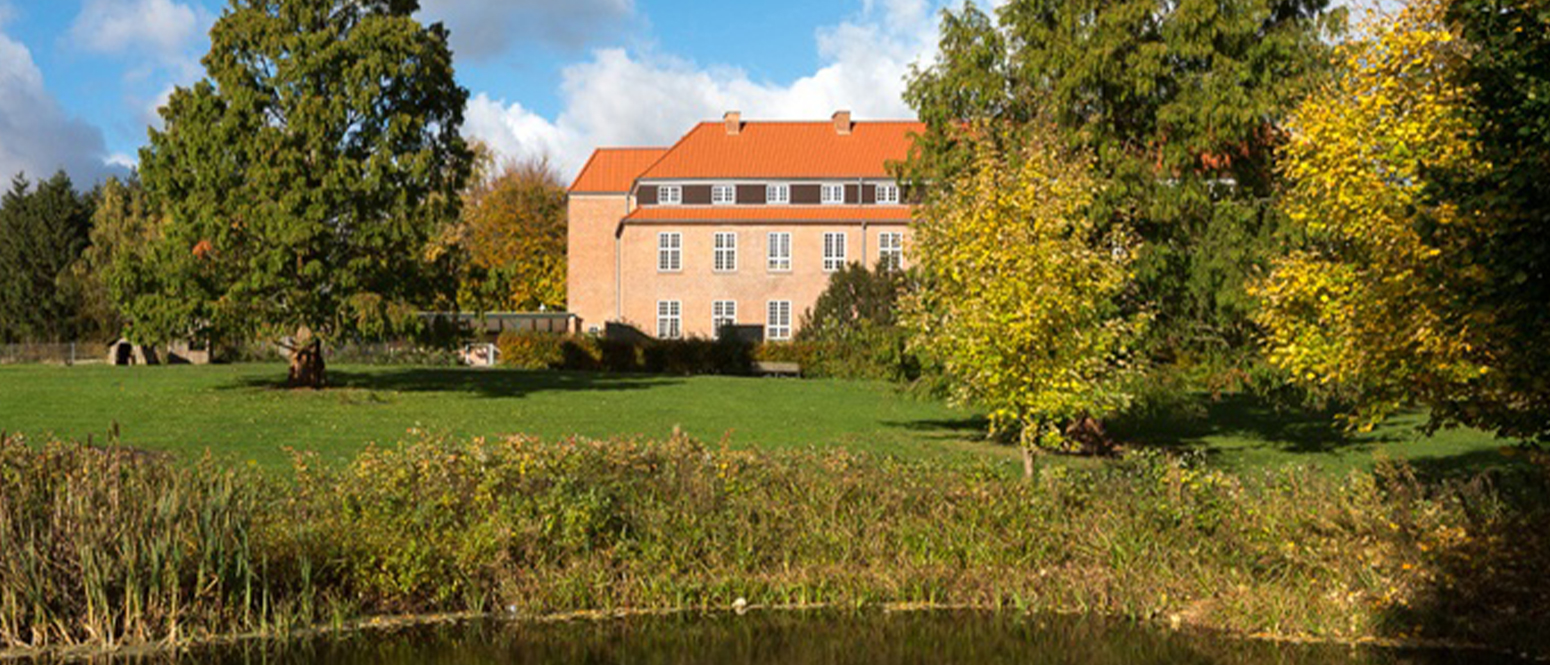 Svaneparken