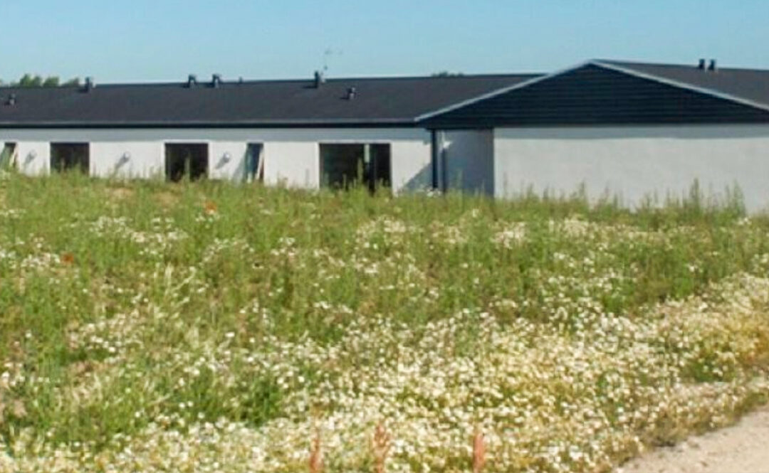 CECILIE MARIE HJEMMET